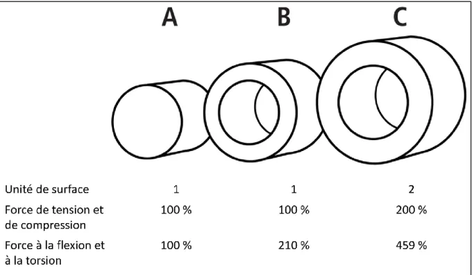 Figure 3 : Exemples d’influence de la géométrie d’un matériel sur ses propriétés  mécaniques 