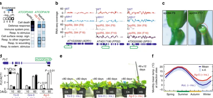 Fig. 5 ATCOPIA preferentially targets environmentally responsive genes. a GO term analysis of genes with ATCOPIA93 or ATCOPIA78 insertions in the epiRILs or other experimental settings, or in nature