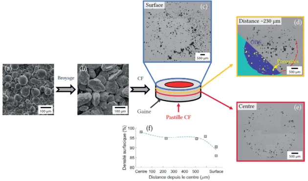 FiguRe II.3 – Morphologies de la poudre Fe-14Cr atomisée (a), et après broyage en MEB (b), morphologie des porosités en MO après CF sur la surface (c), sur la mi-épaisseur