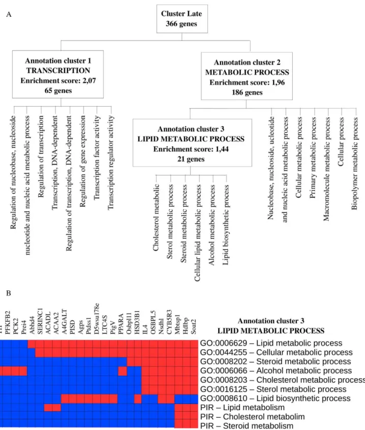 Figure 5. Functional annotation enrichment of the 366 genes belonging to cluster Late