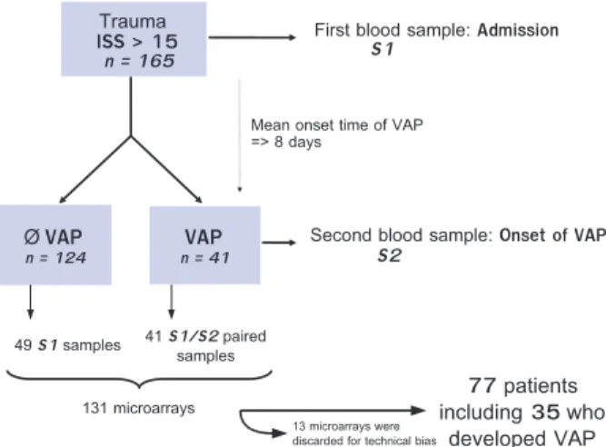 Fig. 1. Flow chart. Samples were collected in 165 trauma patients at admission (S1). In the 41 patients who developed ventilator-associated pneumonia (VAP), a second sample was collected (S2)