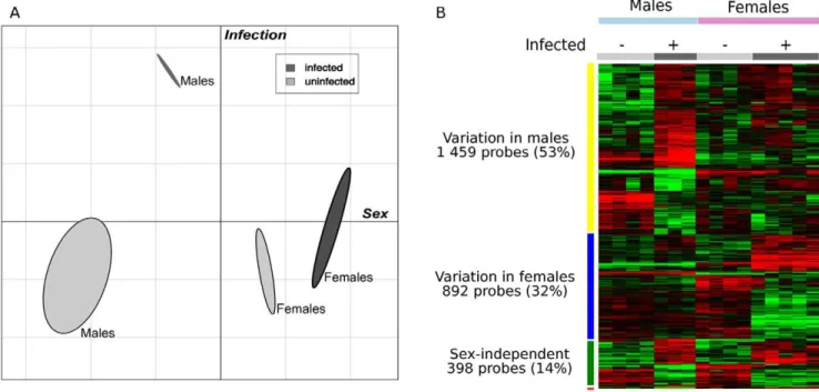 Figure 1. Impact of sex on C. burnetii infection. Male and female mice were infected with C