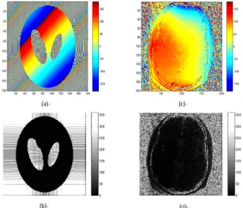 FIGURE 15. (a) Phase of the original image of the simulated dataset;