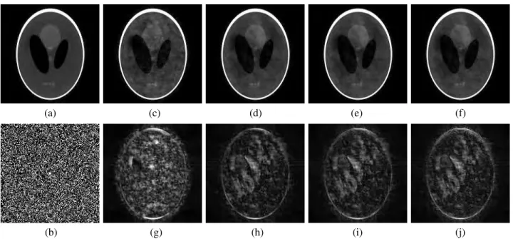 FIGURE 5. (a) Fully sampled image of simulated dataset; (b) random sampling mask; (c) reconstruction result of SAKE method; (d) reconstruction result of PCLR method with whole sampling data; (e) reconstruction result of PCLR method with 90% sampling data; 