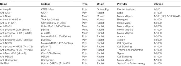 TABLE 1 | Antibodies used in this study.
