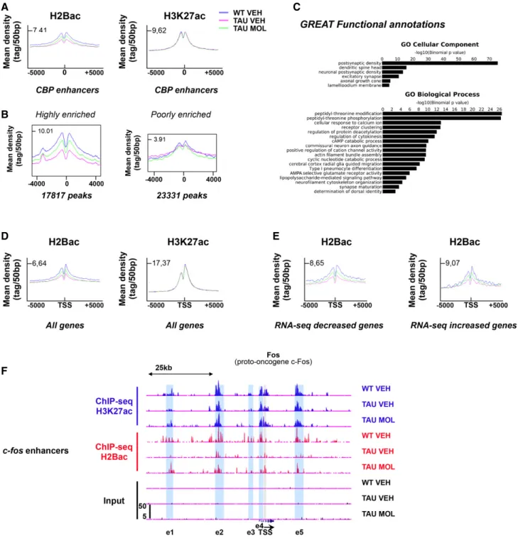 Figure 7. CSP-TTK21 treatment of THY-Tau22 mice affects the regulations of H2Bac enrichment at different genomic loci.