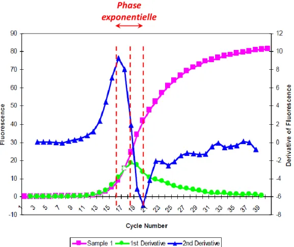 Figure 16. Courbe d’amplification en PCR quantitative et courbes correspondant aux 1 ère  et 2 nde  dérivées  de la courbe d’amplification