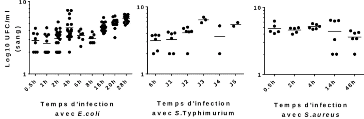 Figure 1. Bactériémie sanguine chez les souris infectées par E.coli, S.Typhimurium ou S.aureus