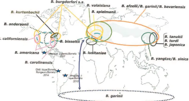 Figure 1. Distribution géographique de l’agent infectieux de la borréliose de Lyme (Sonenshine and  Roe 2014c)