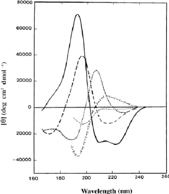 Figure 7: Spectres CD associés aux structures secondaires des protéines. 