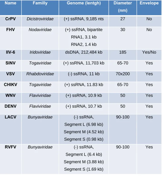 Table 2. Overview of viruses experimentally able to infect Drosophila melanogaster. 
