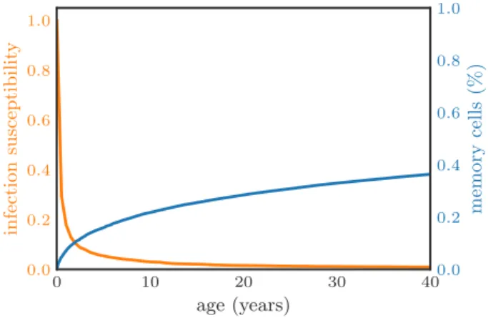 Figure 5 . 6 : Memory cell frequency and infection susceptibility in young age with a repertoire following optimal Bayesian dynamics in a static environment.