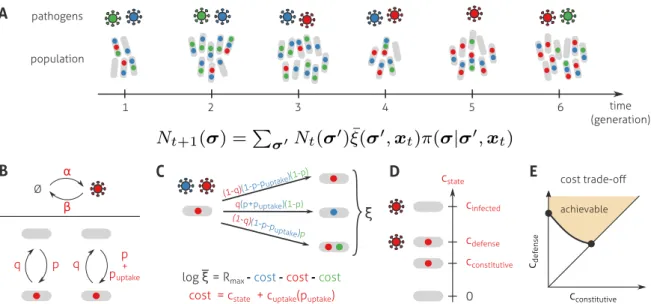 Figure 6 . 1 : A model to explore the incidence of different modes of immunity on the long-term growth of populations