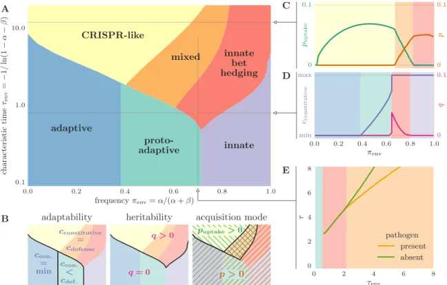 Figure 6 . 2 : Optimal immune strategies as a function of the frequency and characteris- characteris-tic time of pathogens