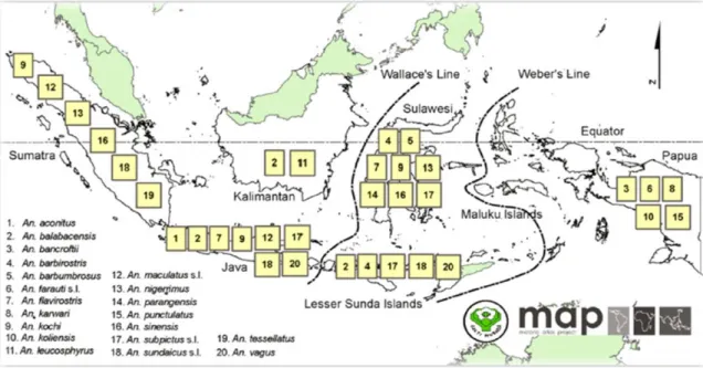 Fig. 5.  The distribution map of primary Anopheles malaria vectors in Indonesia (3) 