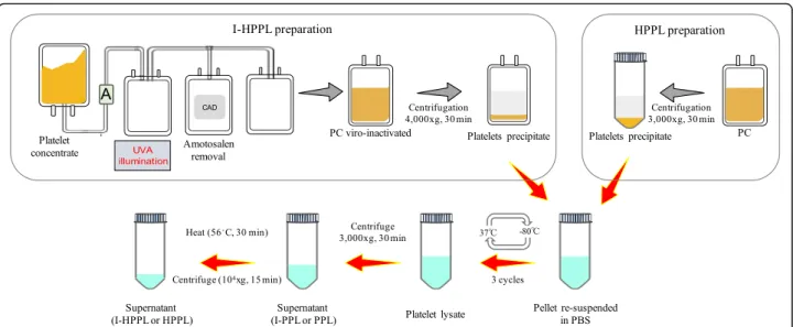 Fig. 2 Intercept treatment and platelet lysate fractions preparation process. Abbreviations: amotosalen (A); compound absorption device (CAD);
