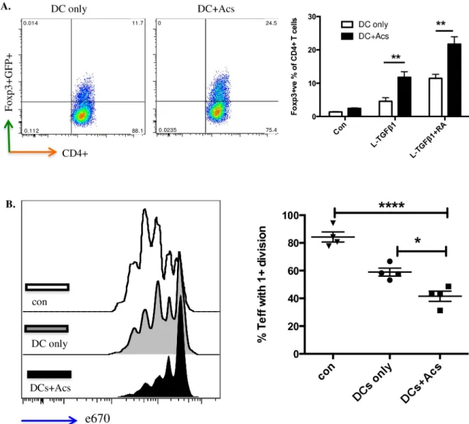 Fig 4. CD103+ve DCs induced by apoptotic cells enhance functional Treg development. A