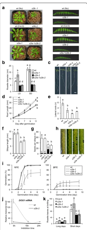 Figure S7). Remarkably, among the 4557 S2Lb-GFP peaks, 97% matched H3K4me3-marked genes, altogether  target-ing one quarter of them (Fig