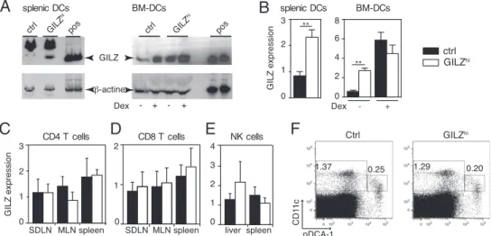 FIGURE 1. GILZ is constitutively and selectively overexpressed in DCs from CD11c-GILZ hi mice