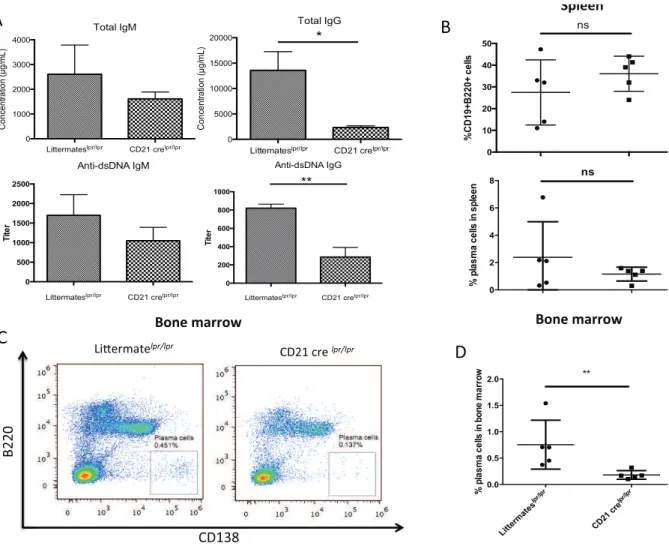 Figure 6: autophagy is necessary for survival of long-lived plasma cells during autoimmune responses 