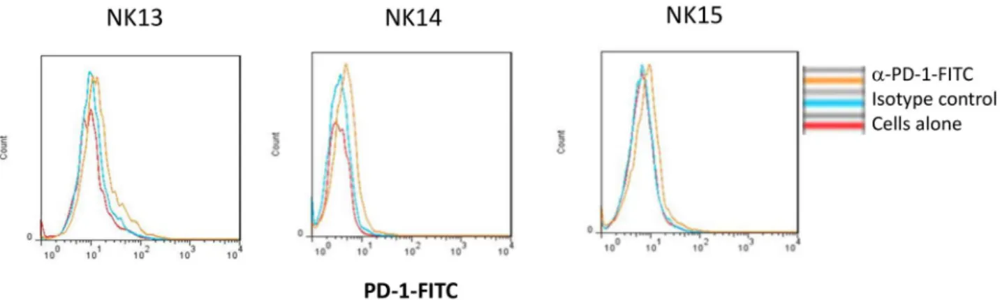 Figure 5.  PD-1 expression in eNK cells. PD-1 expression on NK cells after 20 days of expansion was analyzed  by flow cytometry on  CD56 +  cells using a specific anti-PD-1 mAb on the indicated 3 different donors, NK13,  NK14 and NK15