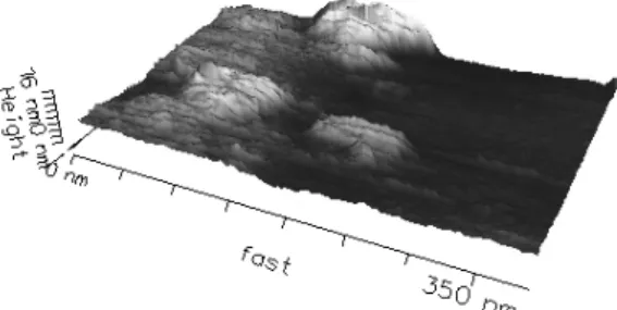 Fig. 3.3 – Imagerie AFM (3D artificielle) d’une surface d´ ecor´ ee de prot´ eines pour les mesures de forces, ` a la limite d’une zone gratt´ ee (application d’une force ´ elev´ ee par la pointe de l’AFM) : on voit le verre nu ` a droite, et les prot´ ein