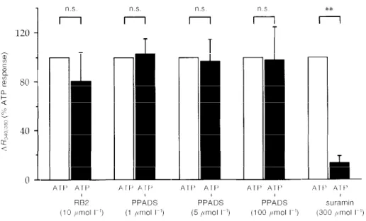 Figure 4. Effects of various P2 receptor antagonists on the response to ATP