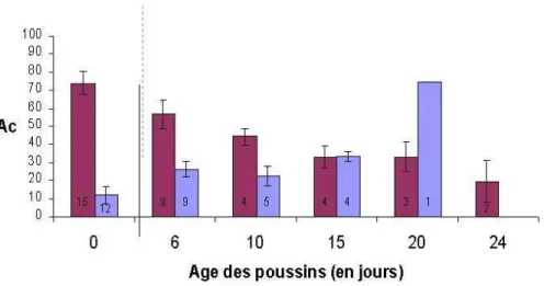 Figure 11: Changement de la concentration en anticorps (Ac = moyenne des P. I. ± erreur  standard, taille d'échantillon) des poussins en relation avec leur âge