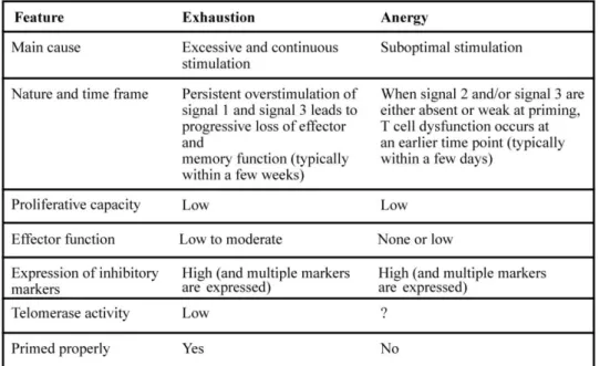 Tableau 2 : Comparaison des différentes formes d’anomalies fonctionnelles de la  réponse T mémoire (d’après (Wherry et Kurachi 2015)) 