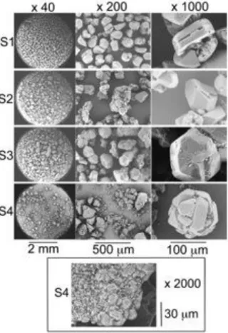 Figure 1. Scanning electron microscopy photographs of crystalline C 60  powders of sam- sam-ples S1, S2, S3, and S4 with different magnifications