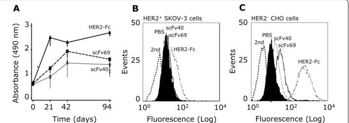 Figure 1 Anti-HER2 antibodies are present in sera from BALB/c mice immunized with anti-Id scFv40 and scFv69
