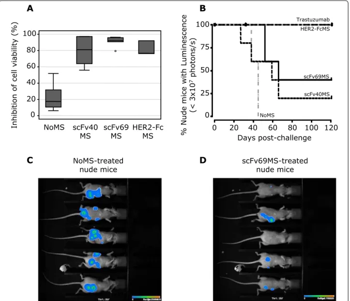 Figure 2 Inhibition of cell viability and analysis of SK-OV-3 tumor progression in nude mice