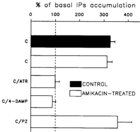 Fig.  3.  Carbachol-induced  accumulation  of  IPs  in  the  amikacin-  damaged cochleas