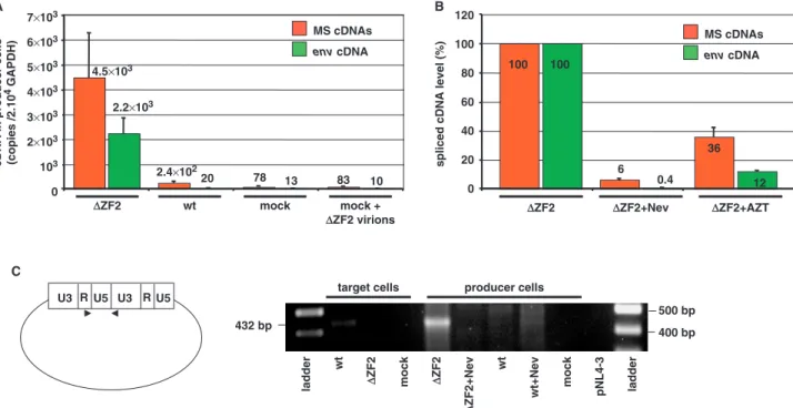 Figure 7. Large amounts of viral DNA in HIV-1 ZF2-producing cells. (A) Spliced viral cDNAs were measured by qPCR in 293T cells transfected or not with ZF2 or wild-type plasmids (n = 3 SD)
