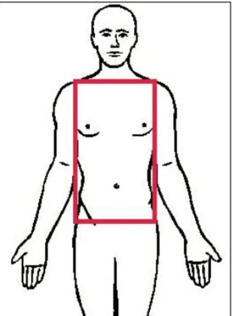 Figure  6 :  schéma  descriptif  de  la  zone  corporelle  investiguée  dans  le  questionnaire  destinée  au  répondant
