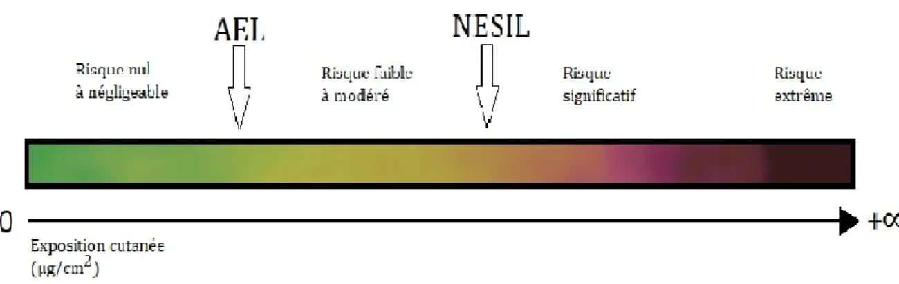 Figure 5 : représentation schématique du risque de sensibilisation encouru par le consommateur