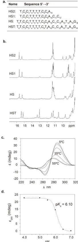 Figure  2.  a)  Sequences  of  the  oligonucleotides  studied.  b)  Exchangeable  protons  region  of  the  NMR  spectra of the centromeric sequences in 25 mM NaPi, 100 mM NaCl buffer at pH 4.0 (HS, HS1 and HS2)  and pH 4.5 (HST) T=5 ºC (Oligo concentratio