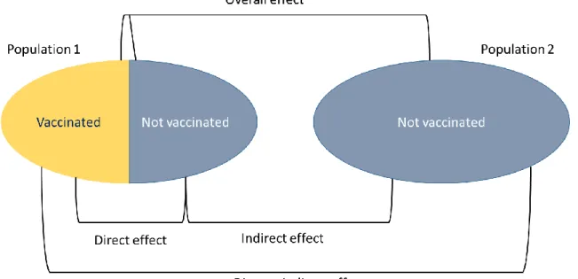 Figure 1: Types of effects in vaccinology, adapted from Halloran et al. (109) 