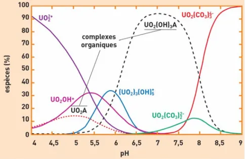 Figure 1. Exemple de la spéciation  de l’uranium (VI) en milieu environnemental (présence de  matières organiques naturelles) (Calmet et al., 2003)