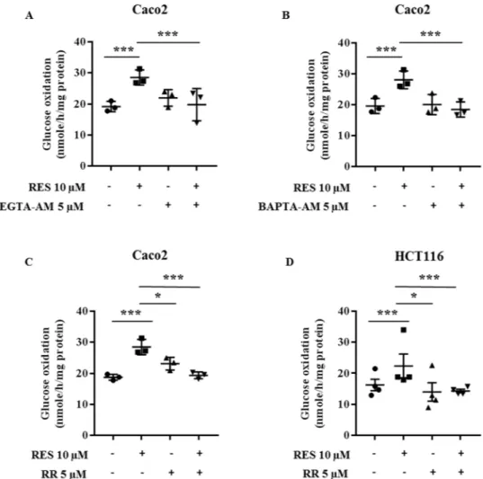 Figure 8.  Metabolic effects of resveratrol on glucose metabolism are related to a modulation of calcium flux  in colon cancer cells