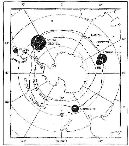 Figure 4 : Distribution circumpolaire des sous-populations d’éléphant de mer austral (Mirounga leonina) en  régions  subantarctiques