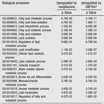 Table 1 e Signi ﬁ cantly enriched biological processes among genes upregulated by rosiglitazone and GW7647.