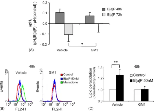 Fig. 4 – GM1 inhibited mitochondrial dysfunction. (A) Effects of GM1 (80 mM) on the pH i variations induced by B[a]P (50 nM) in F258 cells following 48 or 72 h of treatment