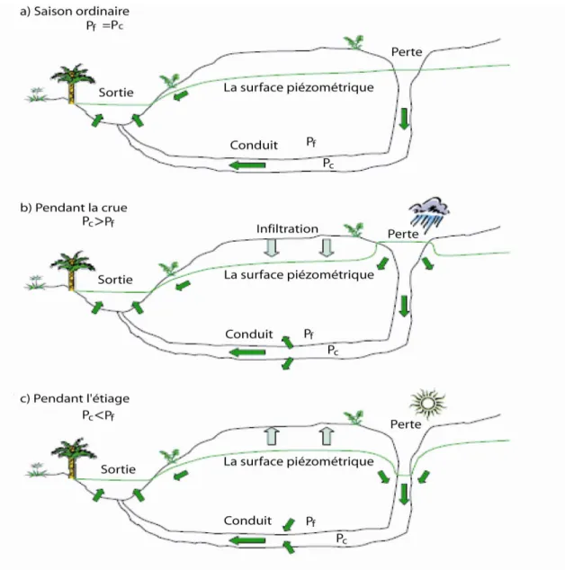 Fig  1.2  Schématique  saisonnière  du  fonctionnement  hydrogéologique  d’un  karst.  P f   est  la  pression dans la matrice, Pc est la pression dans les conduits (Li, 2004, modifié  par  Joodi A) 