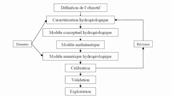 Fig 1.6 Les étapes du processus de modélisation hydrogéologique        