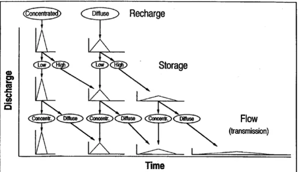 Fig  1.7  Effets  possibles  de  la  dualité  de  la  recharge,  du  stockage  et  de  l'écoulement  sur  l'hydrogramme de la source karstique (Hobbs et Smart, 1986)  