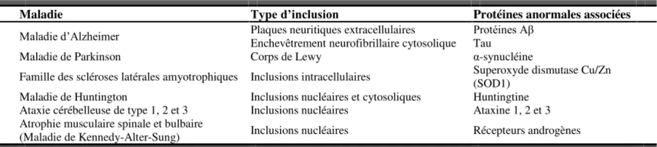 Tableau  1.7 :  Maladies  neurodégénératives  et  agrégats  protéiques  associés. D'après  Turturici  et  al.,  2011