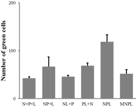 Figure 5. Efficacité comparée de différentes associations de plasmides sur l’expression d’un minigénome EGFP