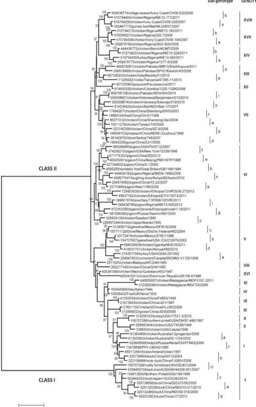 Fig. 1.11. NDV genotypes based on F gene (133).   