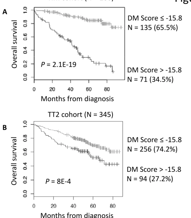 Figure 3 A DM Score   -15.8 al HM cohort (N = 206) N = 135 (65.5%) erall surviva DM Score &gt; -15.8 N = 71 (34.5%)OveP = 2.1E-19